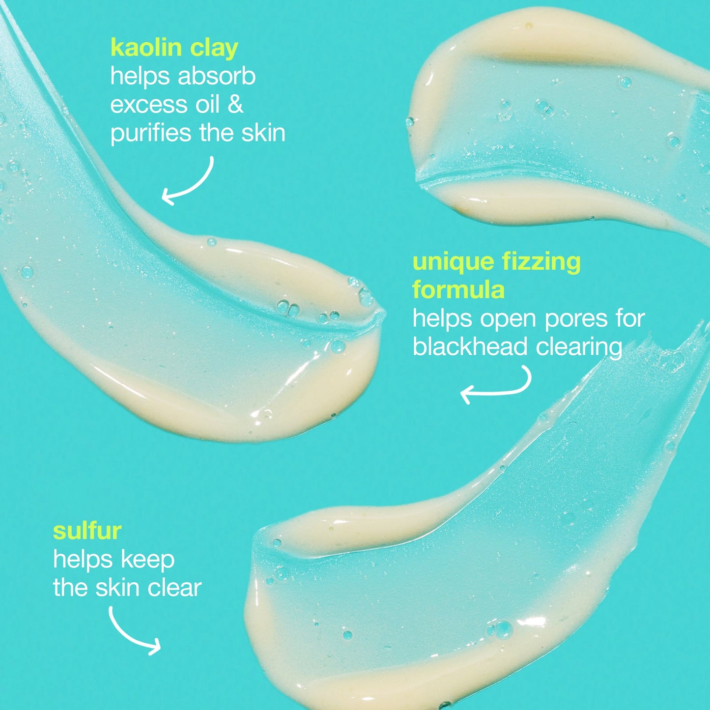 Blackhead Clearing Fizz Mask ingredients 